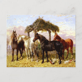 Cartão Postal Cavalos por um rio por volta dos anos 1800