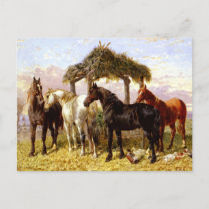Cartão Postal Cavalos por um rio por volta dos anos 1800