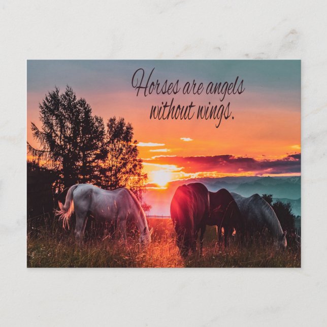 Cartão Postal Cavalos são anjos sem asas (Frente)