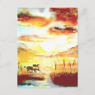 Cartão Postal Cavalos Selvagens.