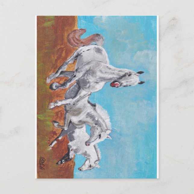 Cartão Postal Cavalos Selvagens (Frente)
