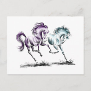 Cartão Postal Cavalos Selvagens Percorridos