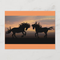 Cavalos selvagens Silhouette