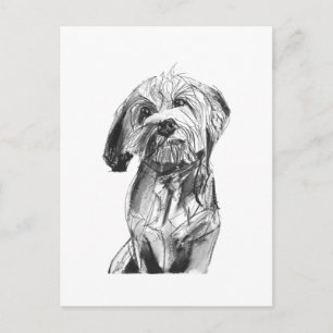 Cartão Postal Cavapoo – Ilustração de Cachorro em