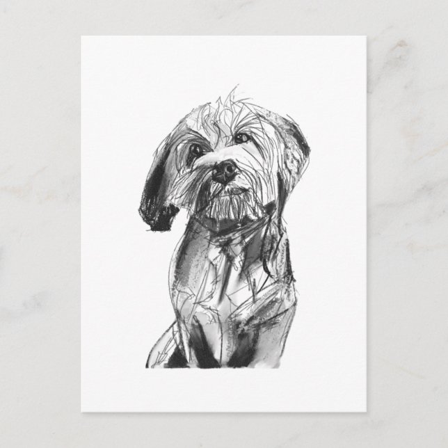Cartão Postal Cavapoo – Ilustração de Cachorro em  (Frente)