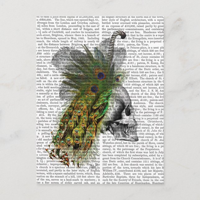 Cartão Postal Caveira Com Cabeça De Pé (Frente)