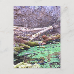 Cartão Postal Caverna Verde