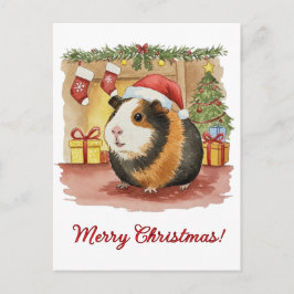 Cartão postal Cavia Cavy Cavia Cavia, porco da Gui