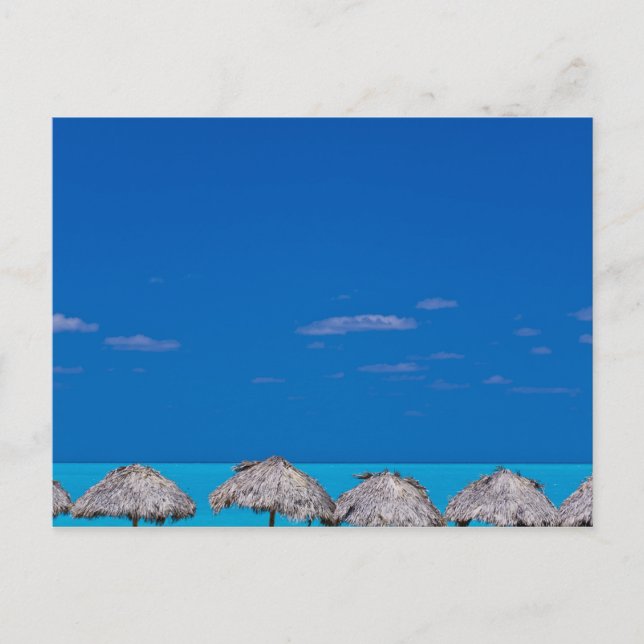 Cartão Postal Cayo Papais noeis Maria, Villa Clara, Cuba (Frente)