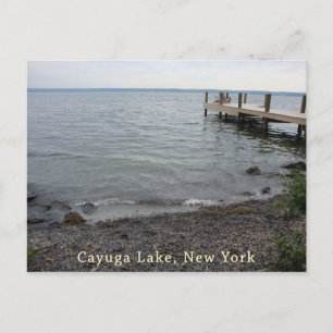 Cartão Postal Cayuga Lake Rocky Beach
