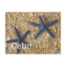 Cebu Filipinas Blue Starfish