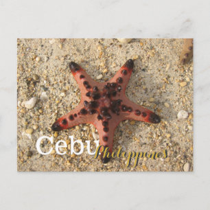 Cartão Postal Cebu Filipinas Tiger Starfish
