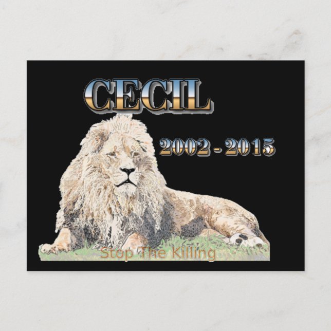 Cartão Postal Cecil The Lion (Frente)