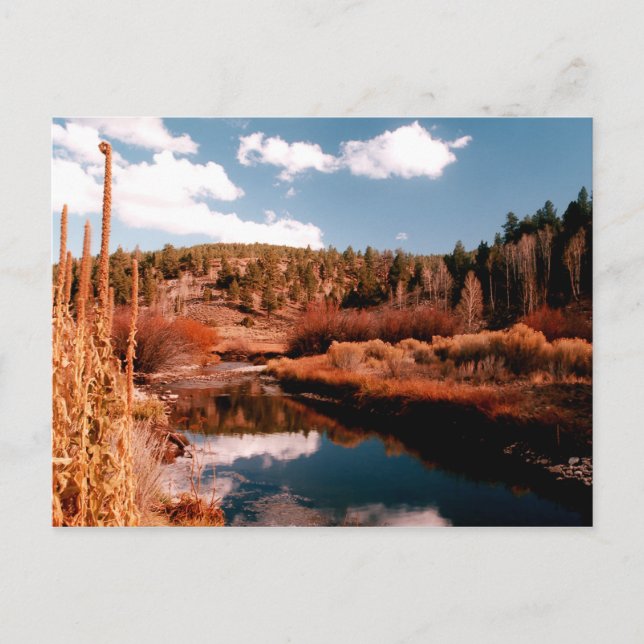 Cartão Postal Cedar Breaks National Area, Utah (Frente)