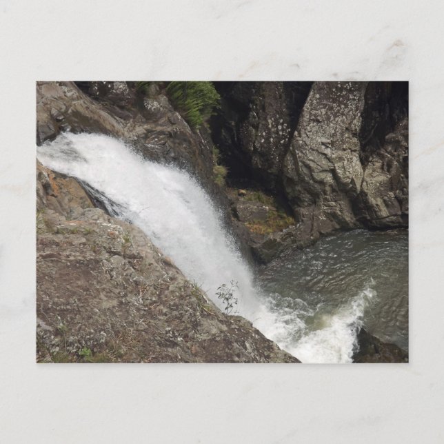 Cartão Postal Cedar Creek Falls (Frente)