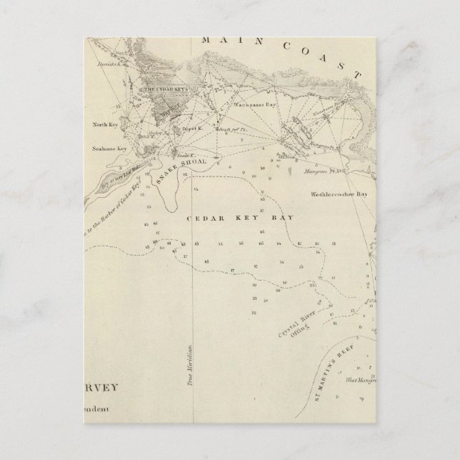 Cartão Postal Cedar Keys, Fla (Frente)