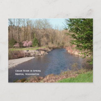 Cartão postal Cedar River Beach