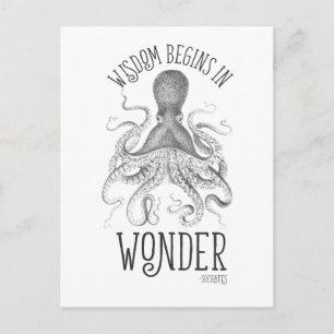 Cartão Postal Cefalópode Socrático