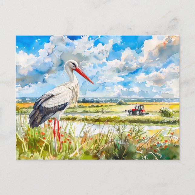 Cartão Postal Cegonha em Campos de Verão Havelland Estilo Aquare (Frente)