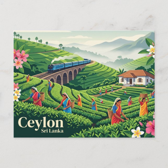 Cartão Postal Ceilão Sri Lanka (Frente)