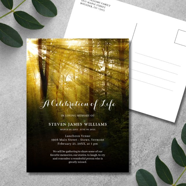 Cartão Postal Celebração das Árvores Memoriais da Vida (Forest Celebration of Life Postcard)