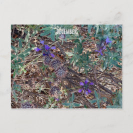 CARTÃO POSTAL CELEBRAÇÃO DE CORES DA CALIFÓRNIA: CARTÃO-POSTAL D