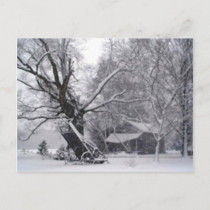 Cartão Postal Celeiro Antigo & Carvalho em Foto de Neve de Inver