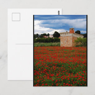 Cartão Postal Celeiro Rural em Retrato de Campo de Papoulas