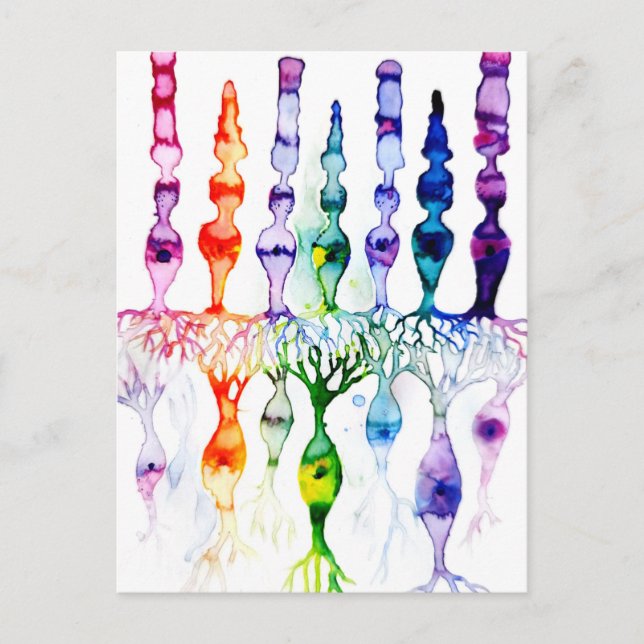 Cartão Postal Células de cone e neurônio bipolar da retina (Frente)