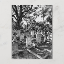 Cartão Postal Cemitério de Bonaventure, Savannah GA