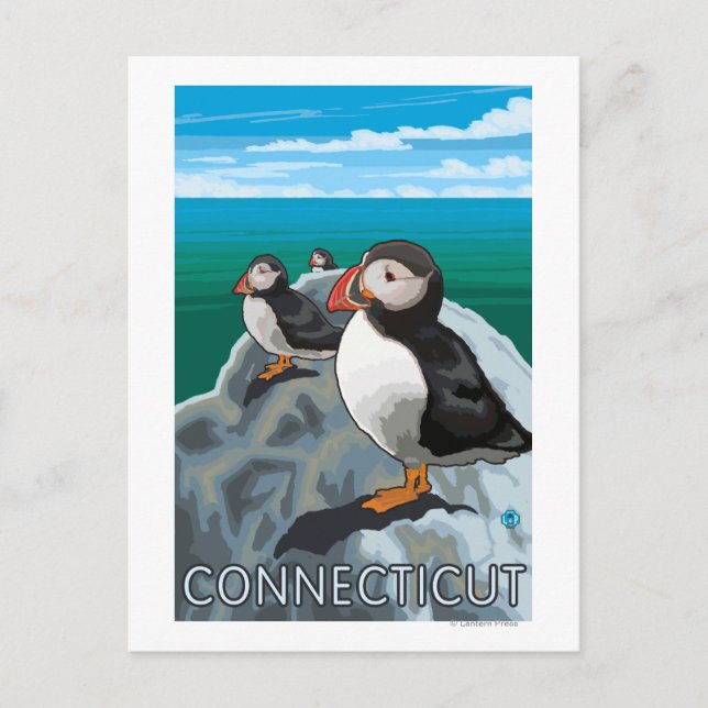 Cartão Postal Cena ConnecticutPuffins (Frente)