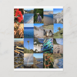 Cartão Postal Cena costeira neozelandesa Kiwiana