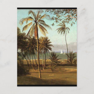Cartão Postal Cena da Flórida - Albert Bierstadt