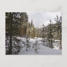 Cartão Postal Cena da Montanha Snowy de inverno em Montana