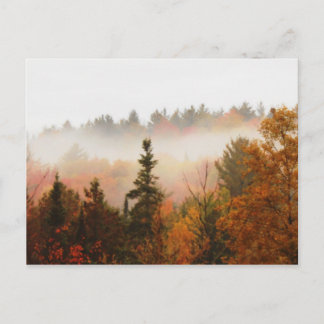 Cartão Postal Cena da Paisagem de Árvores de Outono Adirondacks