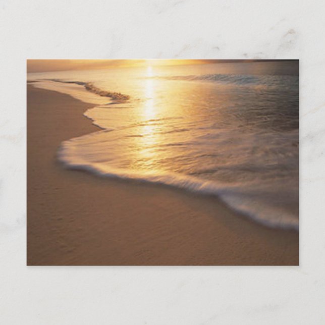 Cartão Postal cena da praia (Frente)