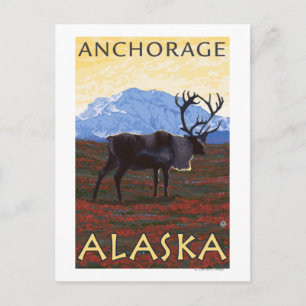 Cartão Postal Cena das Caraíbas - Anchorage, Alasca