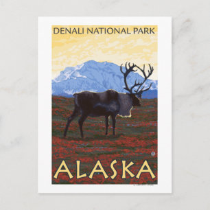 Cartão Postal Cena das Caraíbas - Parque Nacional Denali, Alasca