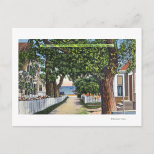 Cartão Postal Cena das Residências na Rua