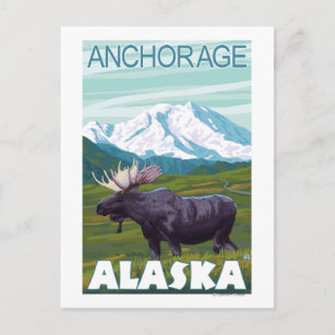 Cartão Postal Cena de alce - Fixação, Alasca