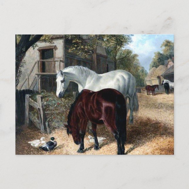 Cartão Postal Cena de fazenda com Cavalos (Frente)