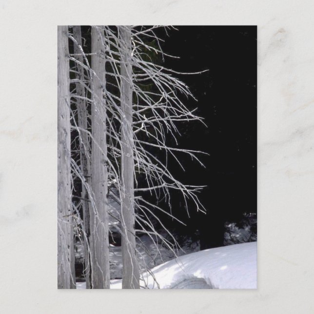 Cartão Postal Cena de inverno (Frente)