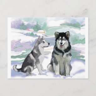 Cartão Postal Cena de inverno de Malamute no Alasca