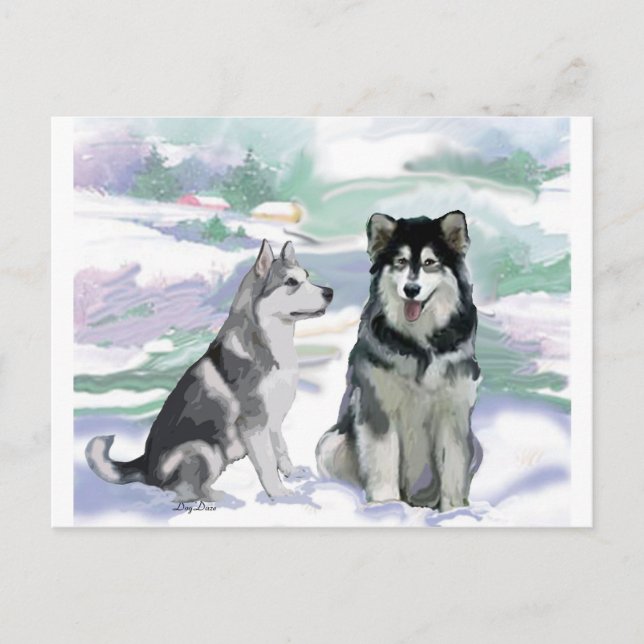 Cartão Postal Cena de inverno de Malamute no Alasca (Frente)