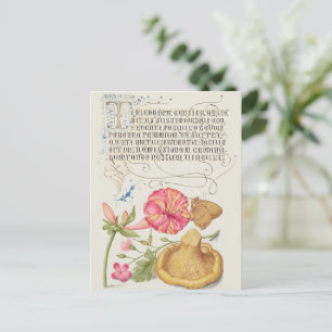 Cartão Postal Cena de jardim com flores, borboleta e cogumelo