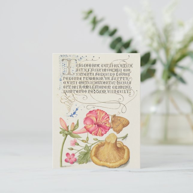 Cartão Postal Cena de jardim com flores, borboleta e cogumelo (Em pé/Frente)
