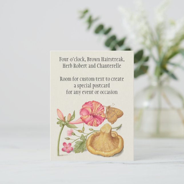 Cartão Postal Cena de jardim com flores, borboleta e cogumelo (Em pé/Frente)