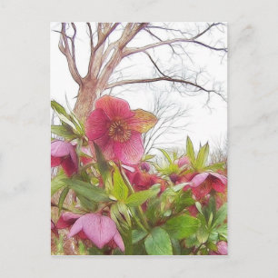 Cartão Postal Cena De Jardim - Hellebores E Carvalho Antigo