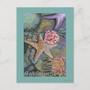 Cartão Postal Cena de MassachusettsTidepool