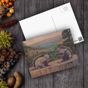 Cartão Postal Cena de Montanha do Esquilo Vintage